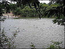 382_8213.JPG