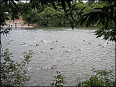 382_8214.JPG