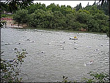 382_8215.JPG
