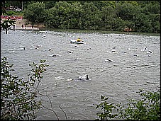 382_8216.JPG