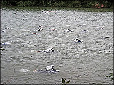 382_8217.JPG