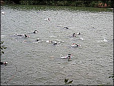382_8220.JPG