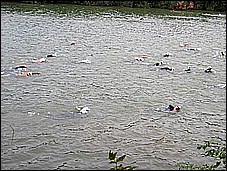 382_8221.JPG