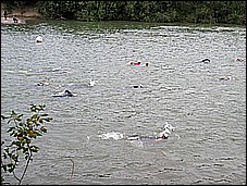 382_8222.JPG