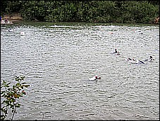 382_8223.JPG
