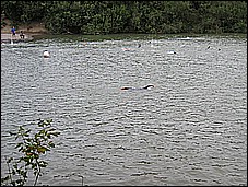 382_8224.JPG