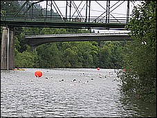 382_8226.JPG