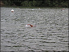 382_8227.JPG
