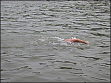 382_8228.JPG