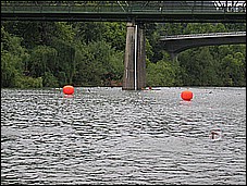 382_8229.JPG