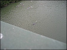 382_8231.JPG