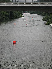 382_8233.JPG