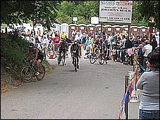 382_8240.JPG