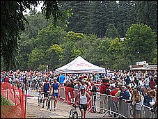 382_8242.JPG