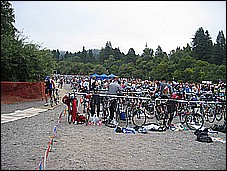 382_8243.JPG