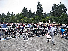382_8245.JPG