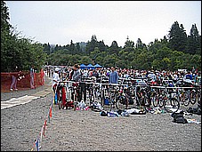 382_8246.JPG