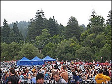 382_8257.JPG