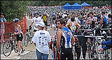382_8261.JPG