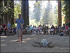 382_8281.JPG