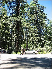 383_8305.JPG