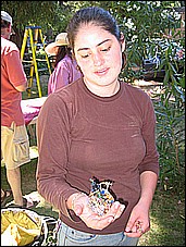 383_8306.JPG
